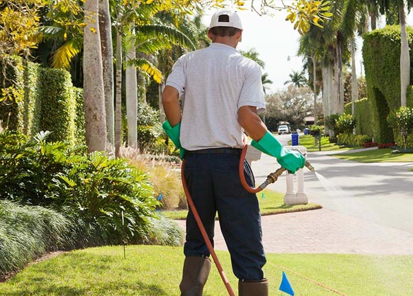About Transfer PA Pest Control